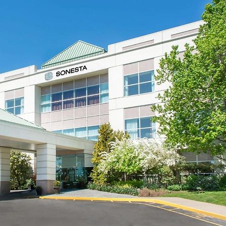 Sonesta Hamilton Park Hotel & Conference Center Florham Park Zewnętrze zdjęcie